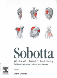 Sobotta Atlas Of Human Anatomy : Tables Of Muscles Joints And Nerves