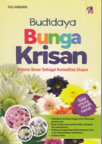 Budidaya Bunga Krisan: Potensi Besar Sebagai Komoditas Ekspor