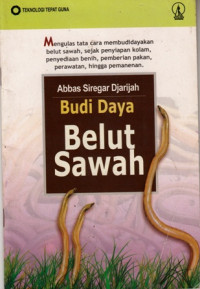 Budi Daya Belut Sawah