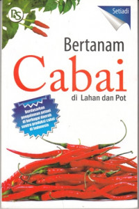 Bertanam Cabai Di Lahan Dan Pot