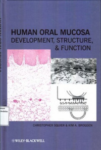 Human Oral Mucosa Development Structure And Function