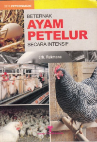 Beternak Ayam Petelur Secara Intensif