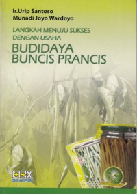 Langkah Menuju Sukses Dengan Usaha Budi Daya Buncis Prancis