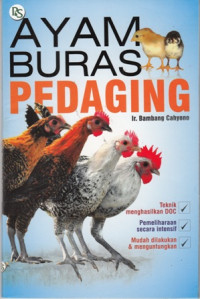 Ayam Buras Pedaging