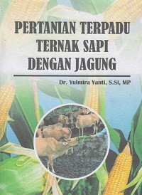 Pertanian Terpadu Ternak Sapi Dengan Jagung