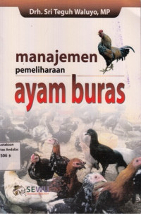 Manajemen Pemeliharaan Ayam Buras