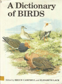 A Dictionary of Birds