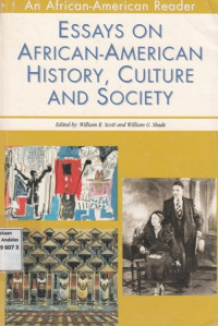 Essays on African-American History, Culture and Society