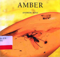 Amber