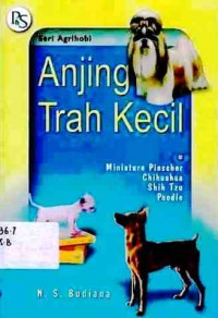 Anjing Trah Kecil : Miniature Pinscher, Chihuahua, Shih Tzu, Poodle