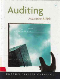 Auditimg assurance dan risk