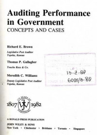 Auditing Performance In Government : Concepts And Cases