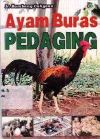 Ayam buras pedaging