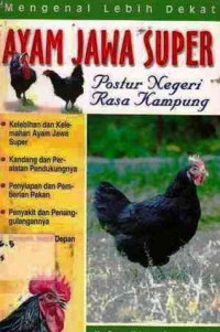 Mengenal Lebih Dekat Ayam Jawa Super