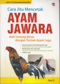 Cara jitu Mencetak Ayam Jawara