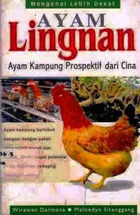 Ayam Lingnan:Ayam kampung Prospektif Dari Cina