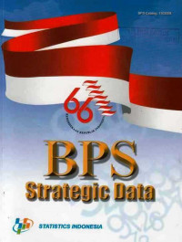 BPS Strategis Data