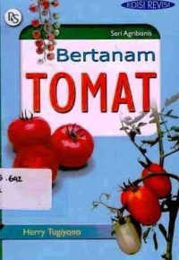 Bertanam Tomat