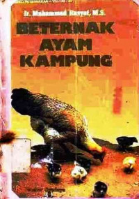 Beternak Ayam Kampung