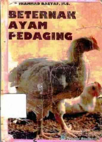 Beternak Ayam Pedaging