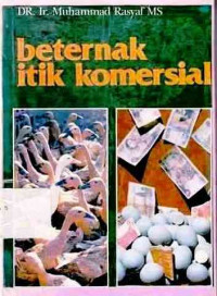 Beternak Itik Komersial