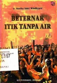 Beternak Itik Tanpa Air