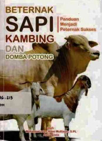 Beternak Sapi kambing dan domba potong