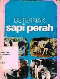 Beternak Sapi Perah