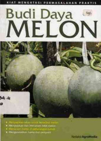 Budi daya melon