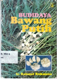 Budidaya Bawang Putih