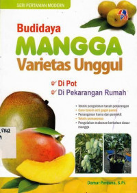 Budidaya Mangga Varietas Unggul