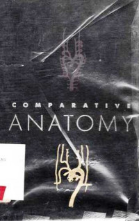 Comparative anatomy