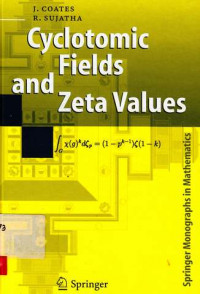 Cyclotomic fields and zeta values