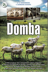 Beternak Domba