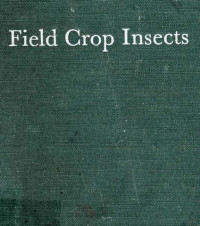 Field Crop Insects