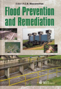 Flood Prevention and Remediation