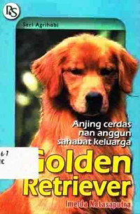 Golden Retriever : Anjing Cerdas Nan Anggun Sahabat Keluarga