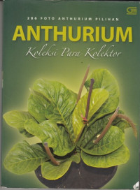 286 Foto Anthurium Pilihan : Anthurium koleksi Para Kolektor