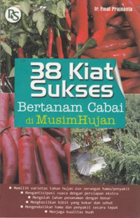 38 Kiat sukses bertanam cabai di musim hujan