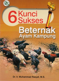 Enam Kunci Sukses : Beternak Ayam Kampung