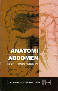 Anatomi Abdomen