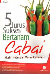 5 Jurus sukses bertanam cabai : musim hujan dan musim kemarau