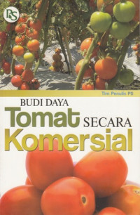 Budidaya Tomat sacara komersial