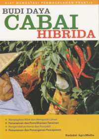 Budidaya Cabai Hibrida