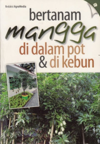 Bertanam Mangga di dalam pot dan di kebun