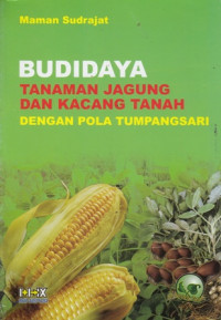 Budidaya Tanaman jagung dan Kacang Tanah dengan Pola Tumpangsari