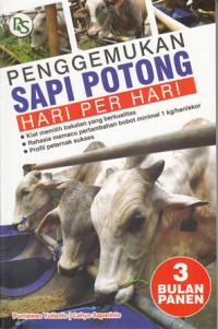 Penggemukkan sapi Potong Hari Per Hari 3 Bulan Panen