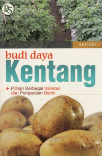 Budi Daya Kentang : Pilihan Berbagai Varietas dan Pengadaan Benih