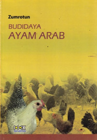 Budidaya Ayam Arab