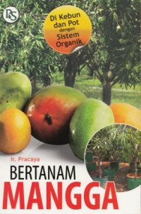 Bertanam Mangga